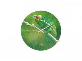Часы настенные Nicole Time NT503 в Чулыме - chulym.mebel-nsk.ru | фото